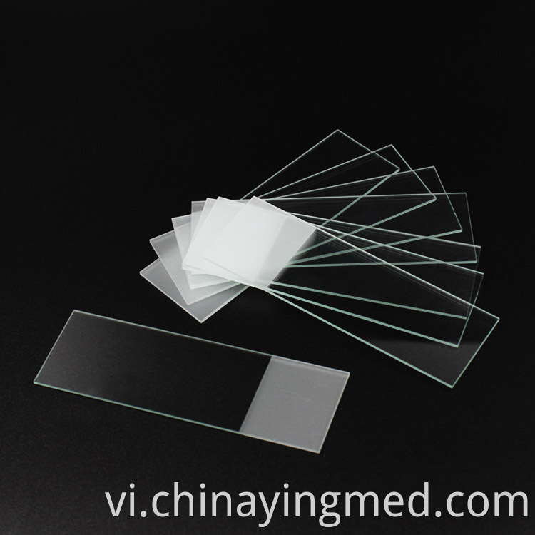 Microscope Slides 7105 1